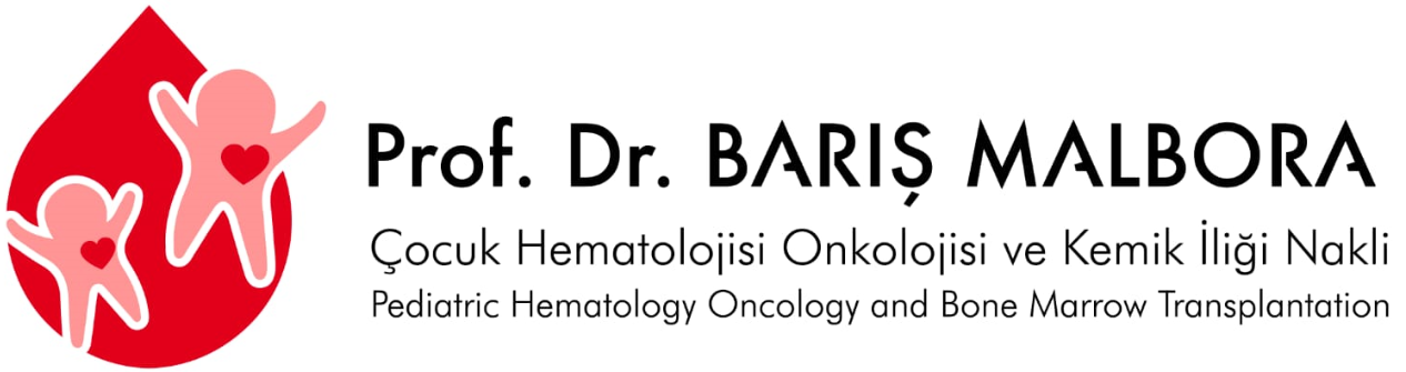 Prof. Dr. Barış MALBORA